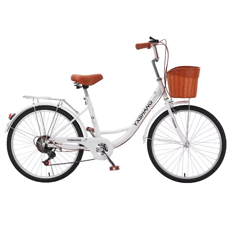 Hot-selling bicycle 24 inch 26 adult student ordinary walking bicycle retro two-seater mountain bike