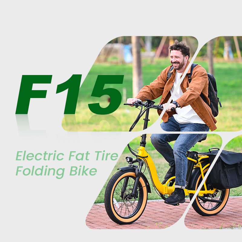 BISEK OEM 20 Inch 48V 500W 750W Fat Tire Electric Mountain Bike City E-Bike Mtb with Disc Brake System