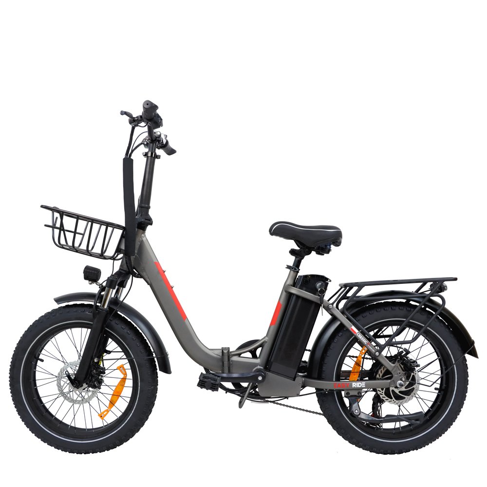 EU Stock 250W Cargo Step through L20 20in Road Electric Mountain Bike Smart Urban Electric Bike for Women 48v Voltage