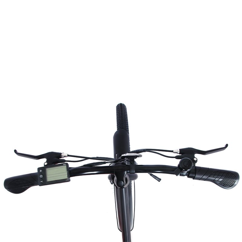 Electric City Bike E Bike Folding Ebike 350W Style Urban Electric Bicycles