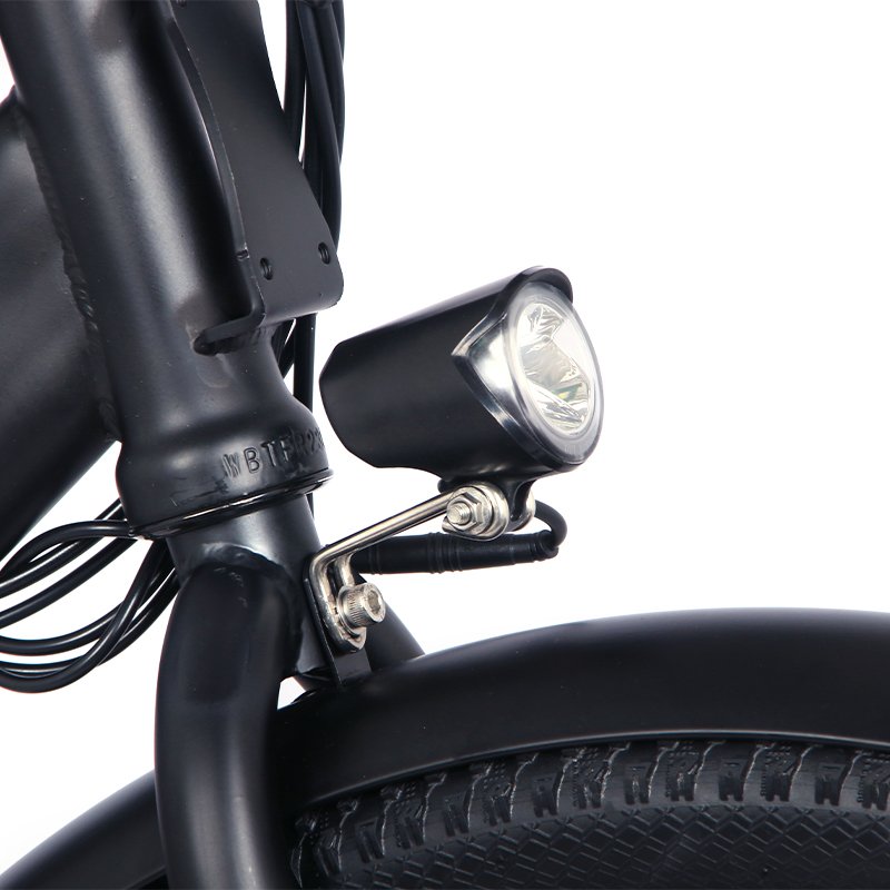 Electric City Bike E Bike Folding Ebike 350W Style Urban Electric Bicycles