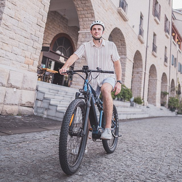 48V 10AH Removable Battery Long Range 350W Motor Mid Drive Ebike Go Go Best GM27 Electric City Bike Eu Us Warehouse