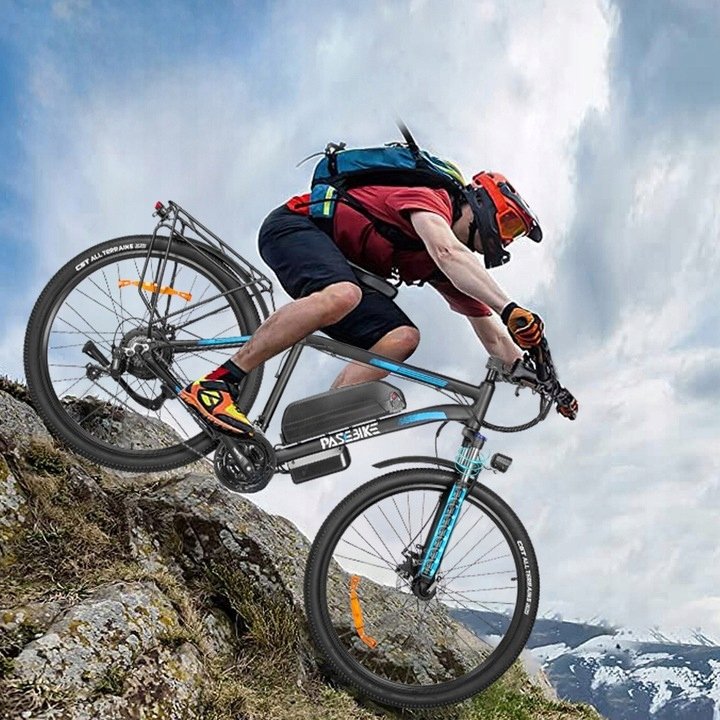 Hot Sale 1000W 48V Electric Bike 29 inch with Li-ion Battery Electric Bike