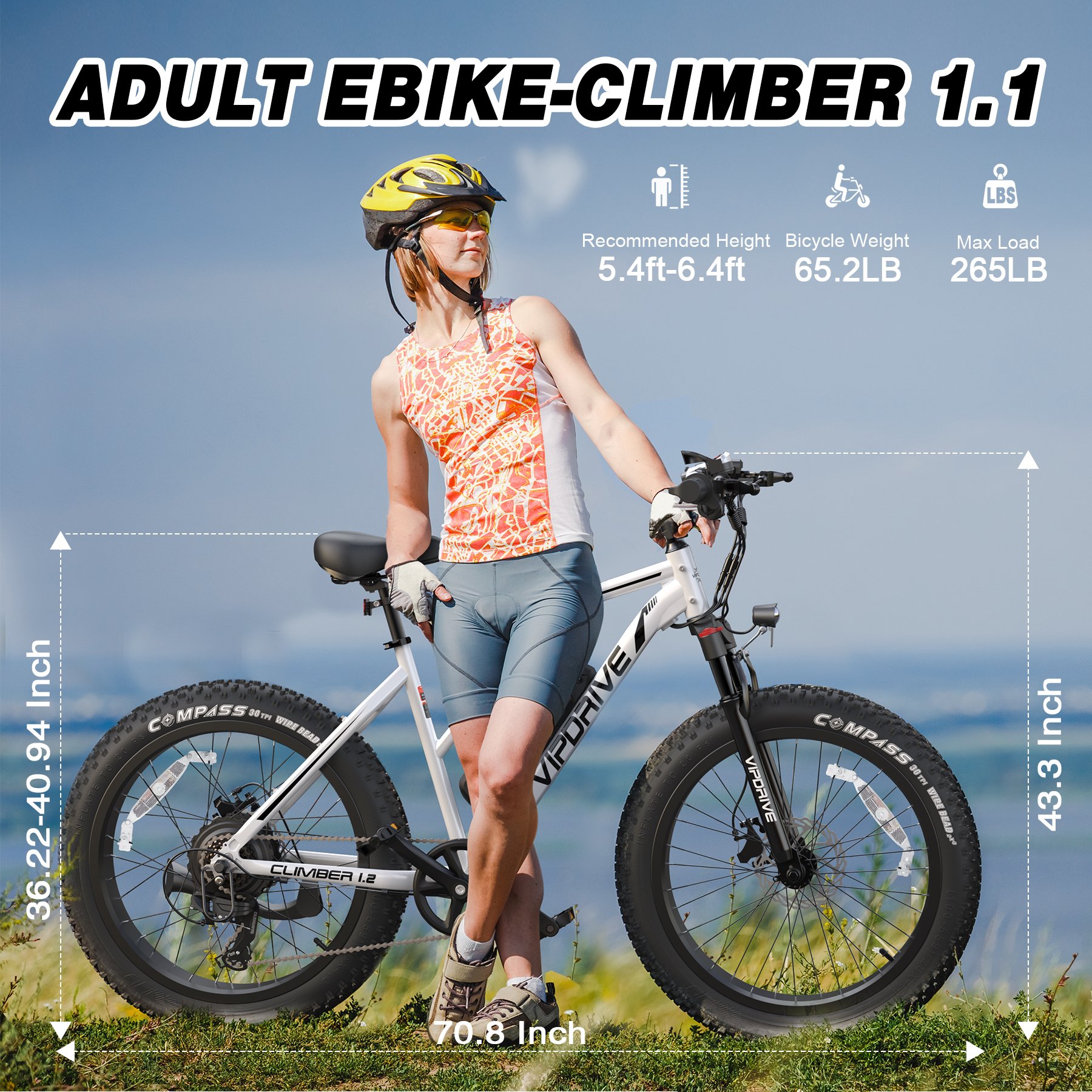 Canada Stock Step-Thru Electric Mountain Bike 26" Fat Tire 48V 500W Brushless Snow Bike 48V 13AH Long Range MTB Ebike
