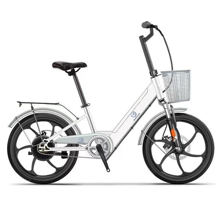 Manufacturers Direct Selling 250W 36V Bicycle Electric City Bike