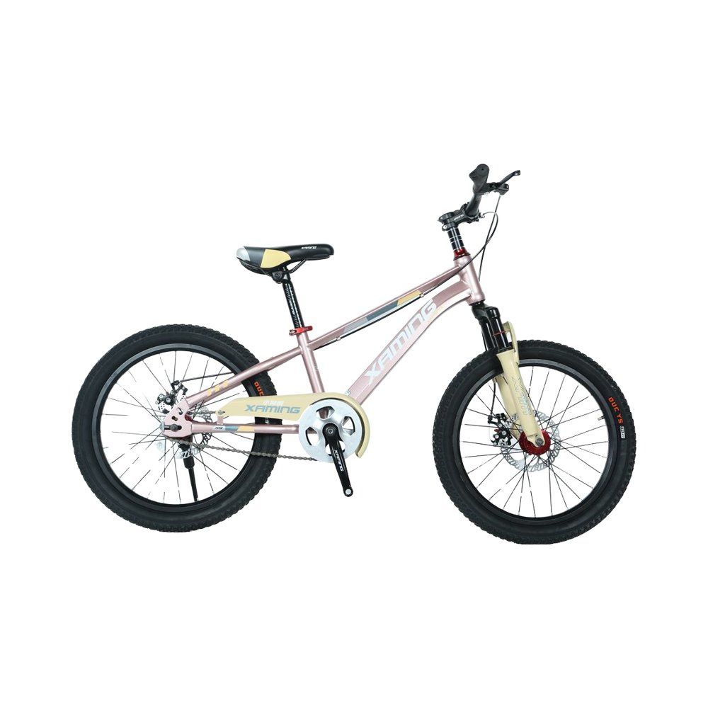 High quality customized male and female children's 20-inch recreational mountain bikes