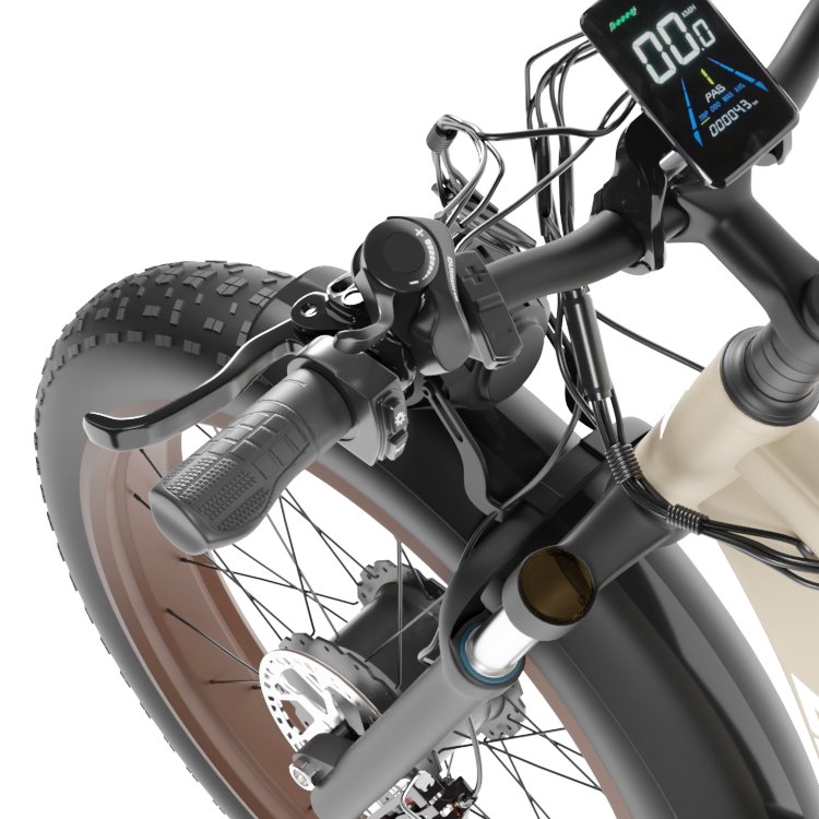 New Product 48V ELECTR BIKE 1000w e bike dual 2000w long range electric city bike Fat Tire Electric Mountain Bicycle