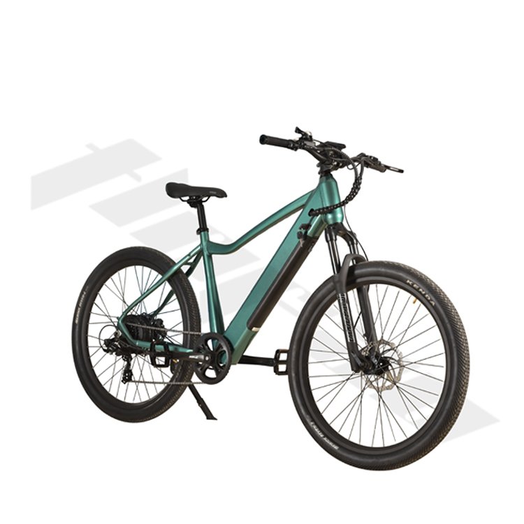 Motors, 48V Power Beast Electric Mountain Bike Venture Into The Wilderness with Style Equipped with 500W/750W Lithium Battery T2