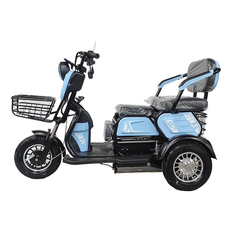 three wheel reverse fitness static trike passenger cargo tricycle bike 3 wheels ebike electric bike
