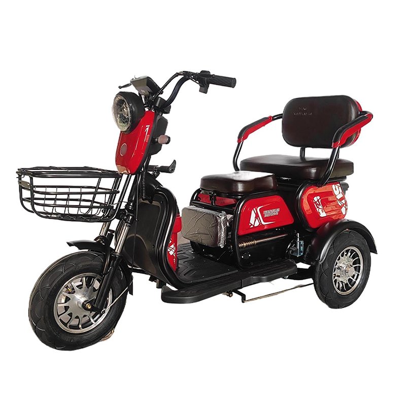 three wheel reverse fitness static trike passenger cargo tricycle bike 3 wheels ebike electric bike