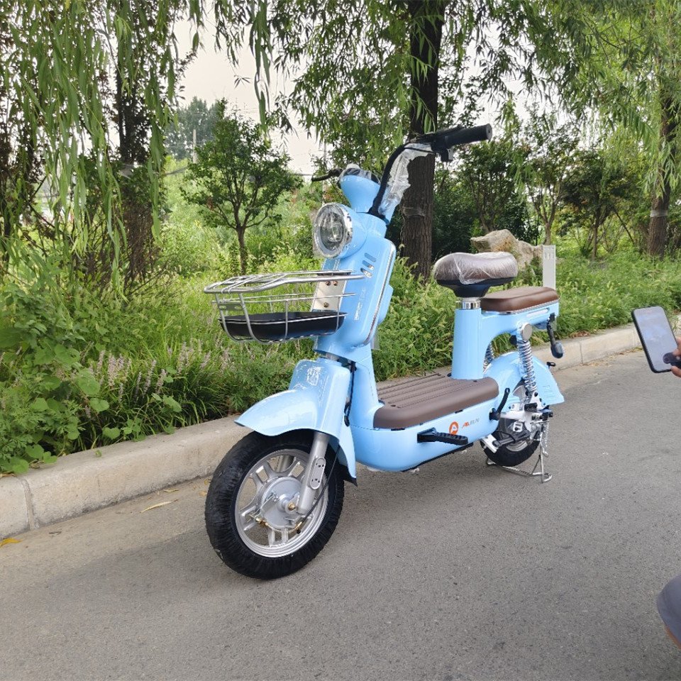 High Performance All Steel & ABS Battery Electric City Bike Customizable Baking Paint Wholesale