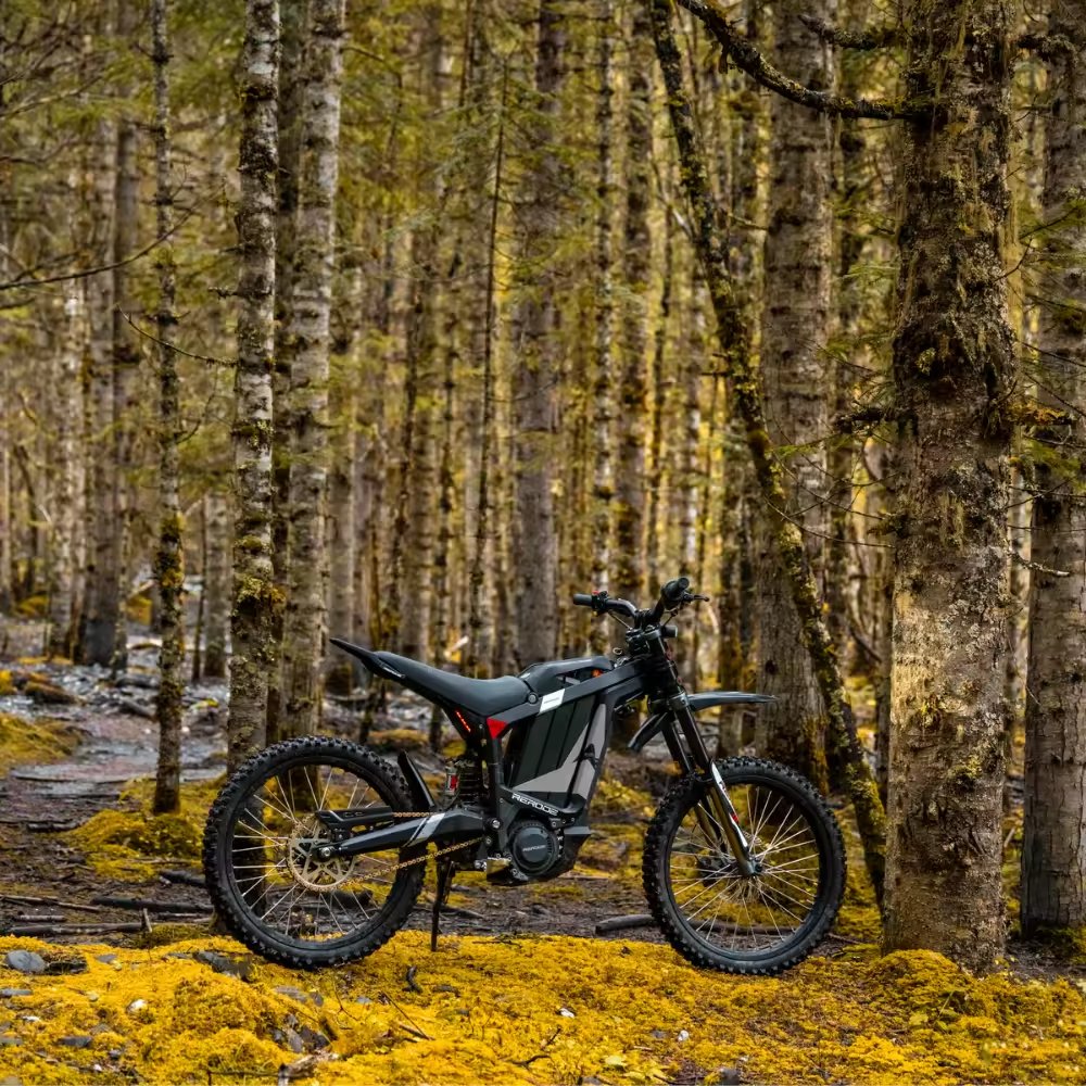 Rode R1 8000W Electric Dirt Bike with 72V 35Ah Lithium Battery Adults' Electric Motorcycle Central Motor 3 Speed Two-Wheel Ebike