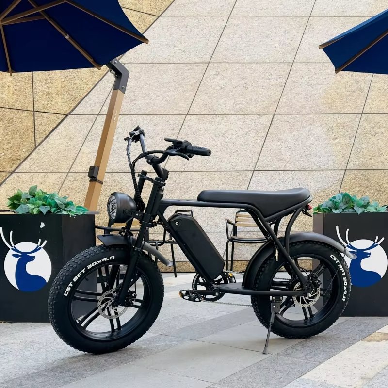 EU  V8 Pro 20inch Fatbike EU NL DE PL Warehouse 1000w Electric Fat Bike E-Bike EBike Electric Mountain Bike