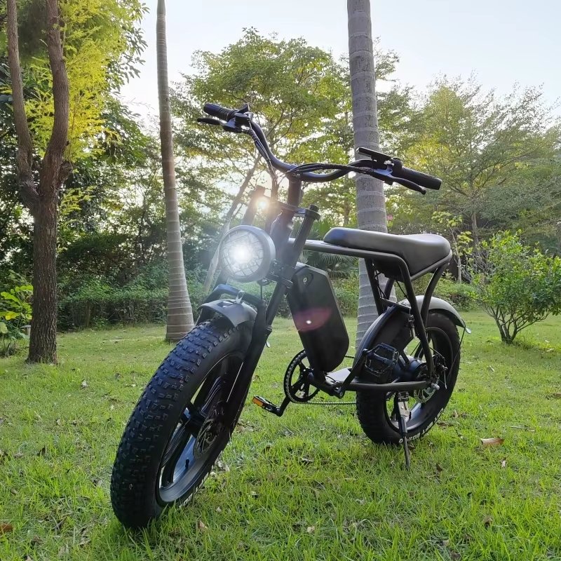 EU  V8 Pro 20inch Fatbike EU NL DE PL Warehouse 1000w Electric Fat Bike E-Bike EBike Electric Mountain Bike