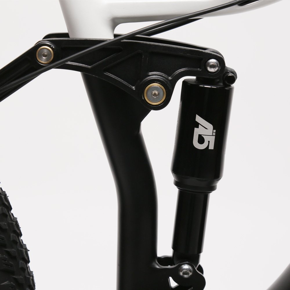 Electric mountain bike with rear BAFANG motor Fatbike electric bike