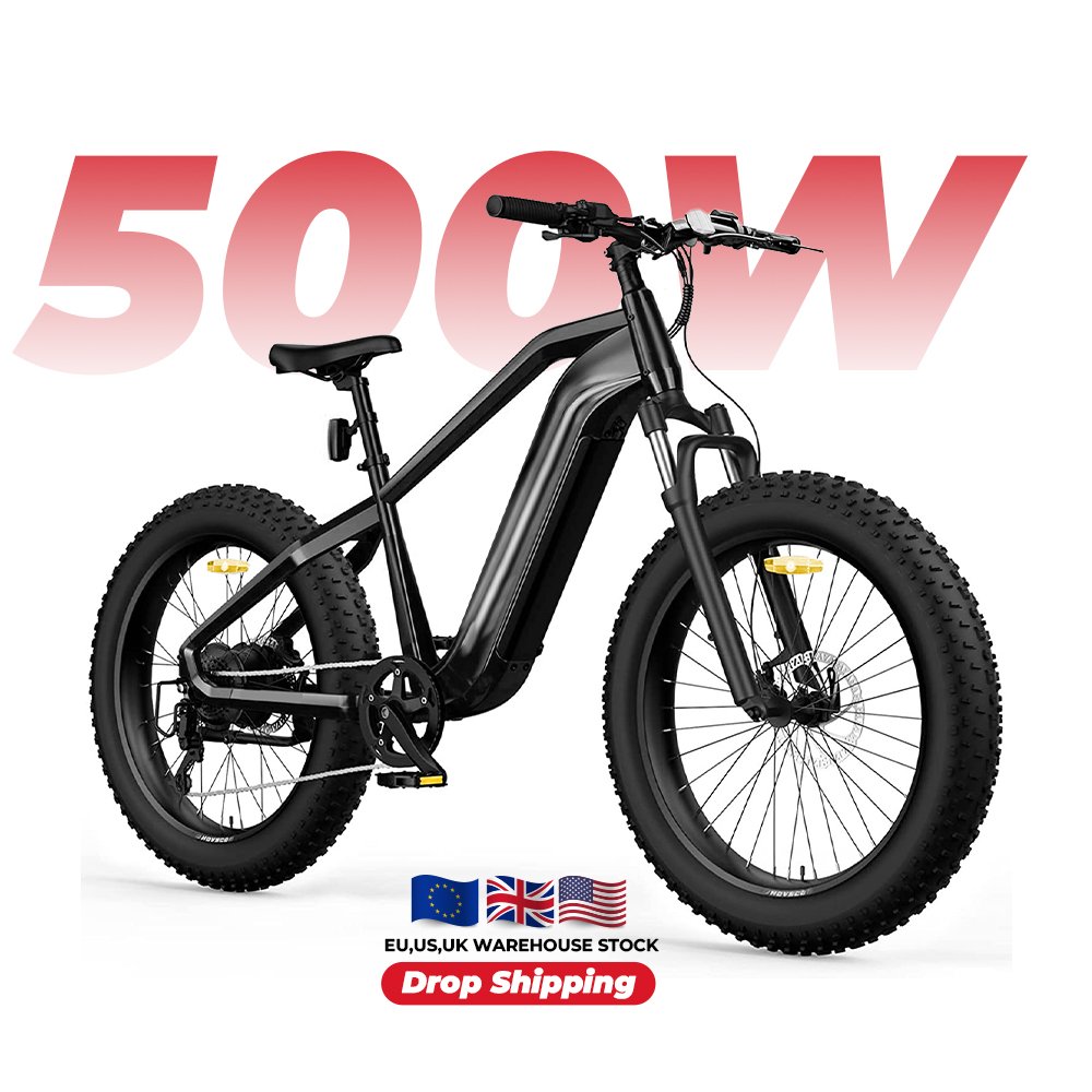Fast Delivery Electric Dirt Bike Exercise e-bike Electric Mountain Bike E-Bicycle in EU Stock