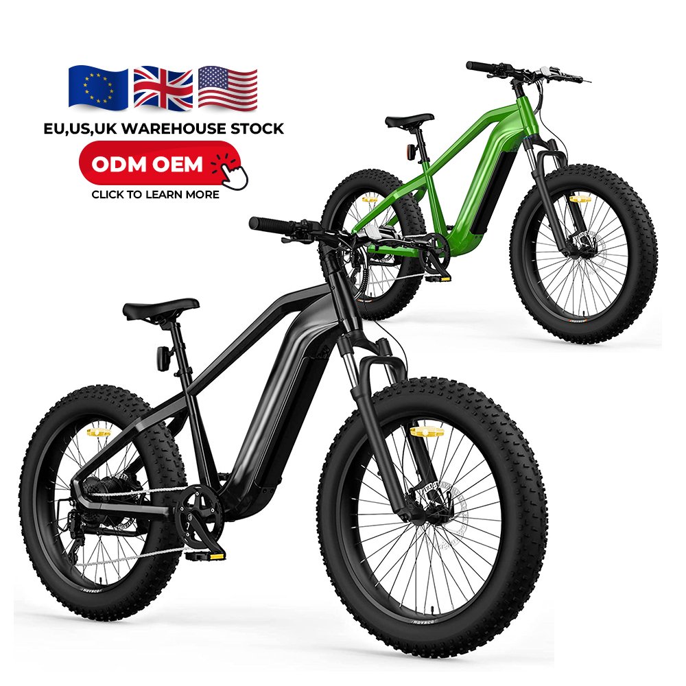 Fast Delivery Electric Dirt Bike Exercise e-bike Electric Mountain Bike E-Bicycle in EU Stock