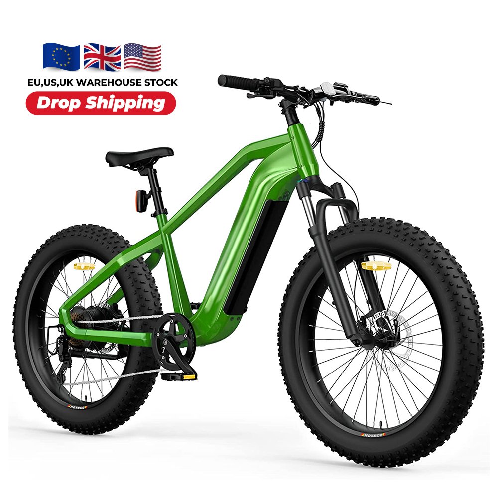 Fast Delivery Electric Dirt Bike Exercise e-bike Electric Mountain Bike E-Bicycle in EU Stock