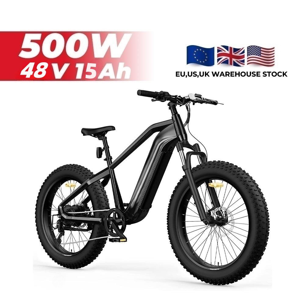 Fast Delivery Electric Dirt Bike Exercise e-bike Electric Mountain Bike E-Bicycle in EU Stock