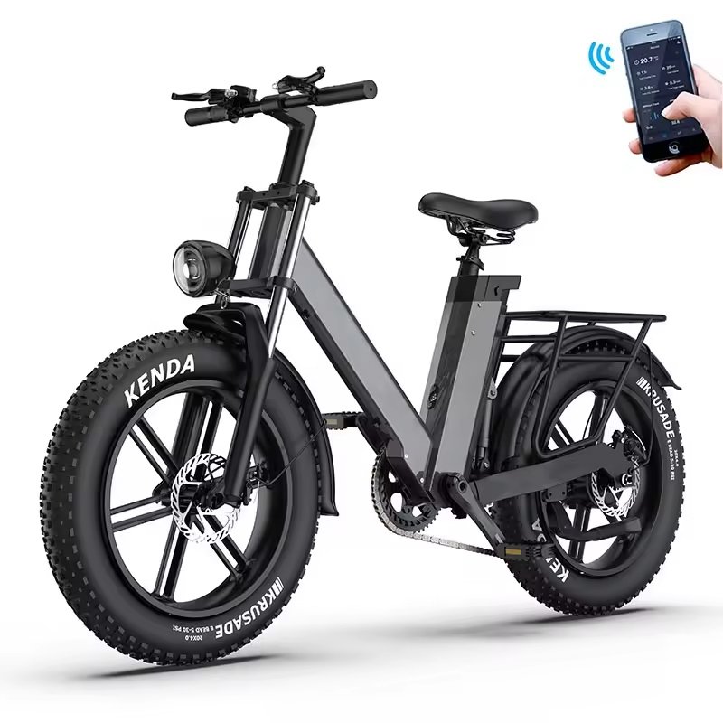 Electric Mountain Bike 1000w 20 inch 7 Speed Fat Tire E-bike E Bicycle Adult Cycle Electric Road Hybrid Bike