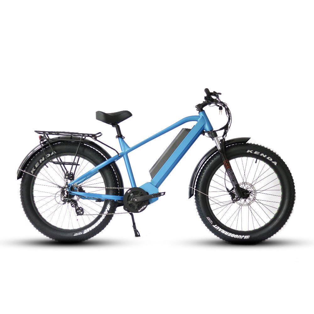 BTN Australia Warehouse 3-7 Days 48V 1000W FAT-HD Drop Shipping Electric Bicycle Fat Tire Electric Mountain Bike E Fatbike