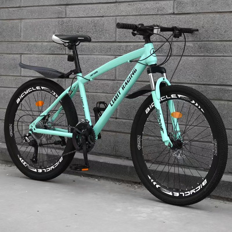 Customized 24 Inch 24 Speed 26 Inch 27 Speed Disc Brake Folding Carbon Steel Shock Sorption Mountain Bike