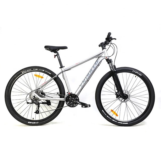 Popular Adult 29 Inch Alloy Mountain Bike MTB Mountain Bicycle