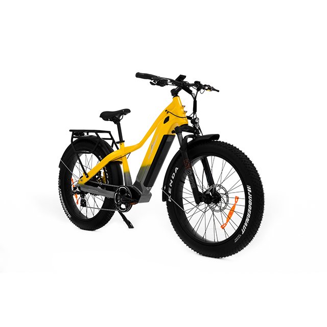 Hot sale electric mountain bike 48v e beach cruiser 1000w bafang city ebike beach cruiser 20ah e muntain bicycle beach cruiser