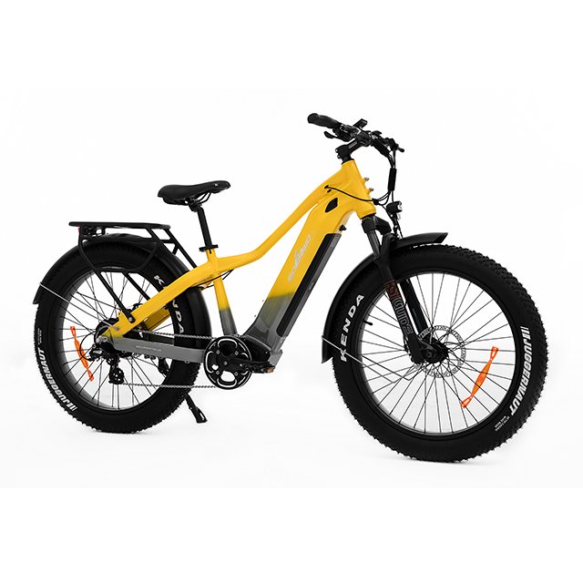 Hot sale electric mountain bike 48v e beach cruiser 1000w bafang city ebike beach cruiser 20ah e muntain bicycle beach cruiser
