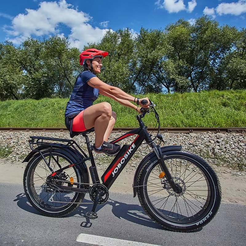 48v 14.5Ah 4.0 Fat Tires Shimano Derailleur Aluminum Alloy Frame down Tube Battery Position Electric Bike Mountain