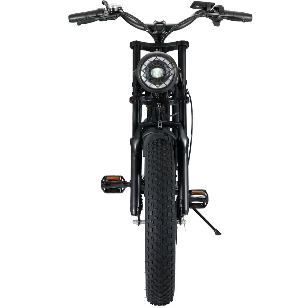 Lithium Battery Mountain E Bike with 500W Motor for Adult Electric Bike from EU 20inch 48v 15ah Steel V8 7 Speed