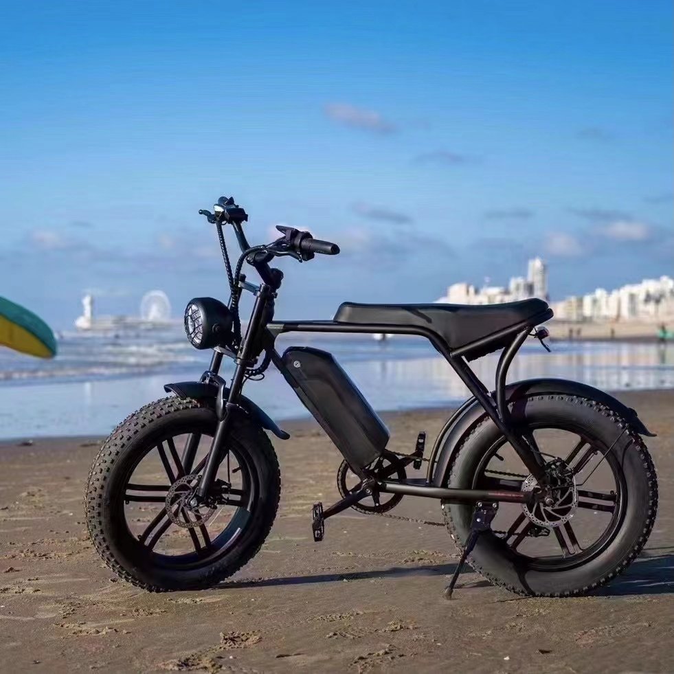 Lithium Battery Mountain E Bike with 500W Motor for Adult Electric Bike from EU 20inch 48v 15ah Steel V8 7 Speed