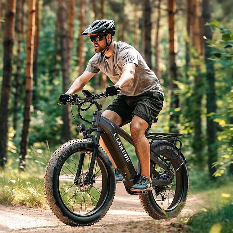 Factory Adult 26 Inch Beach Cruise E Bike 48V 15.6Ah Battery 750W Ebike Electric Bicycle Fat Tire Electric Mountain Bike
