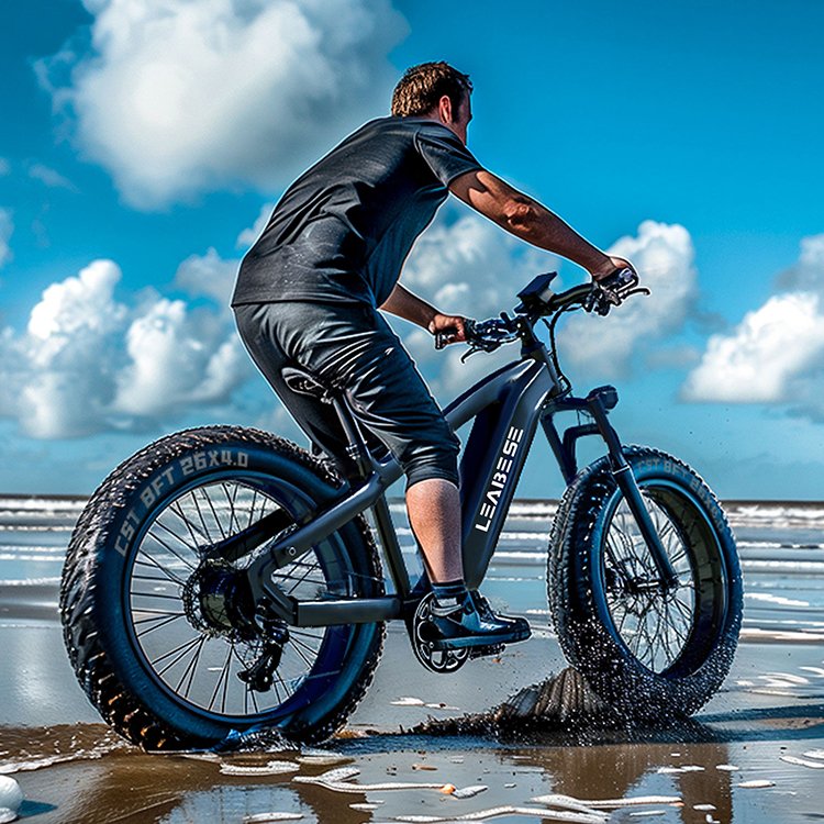 Factory Adult 26 Inch Beach Cruise E Bike 48V 15.6Ah Battery 750W Ebike Electric Bicycle Fat Tire Electric Mountain Bike