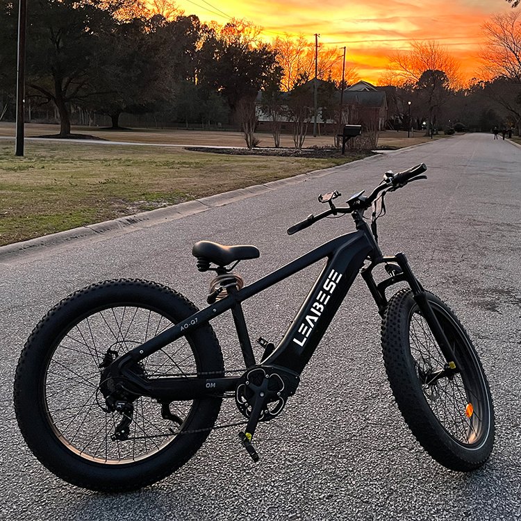 Factory Adult 26 Inch Beach Cruise E Bike 48V 15.6Ah Battery 750W Ebike Electric Bicycle Fat Tire Electric Mountain Bike