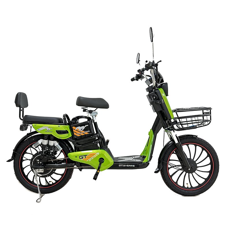New Model 20 Inch Steel Classic Vintage Electric City Bicycle Retro E Bike with 350W Motor Digital Smart Electric City Bike