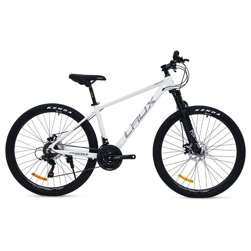 Chinese Factory Aluminum Alloy with putty Mountain Bike Mechanical Disc Brake Chaoyang Tyres High Quality