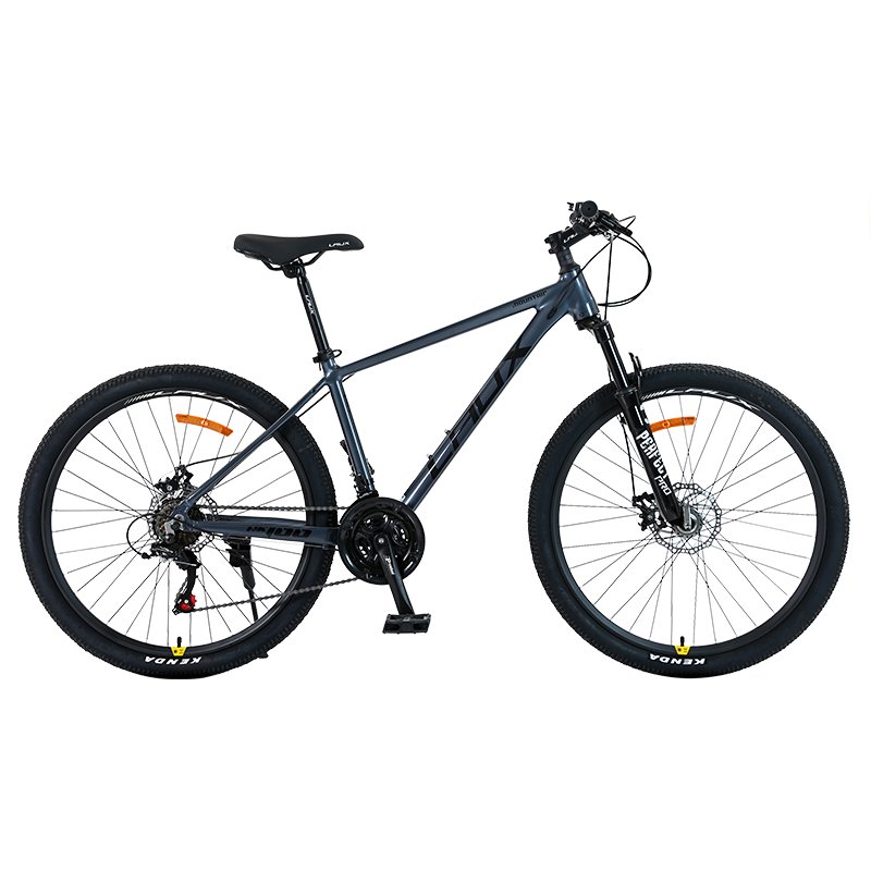 Chinese Factory Aluminum Alloy with putty Mountain Bike Mechanical Disc Brake Chaoyang Tyres High Quality