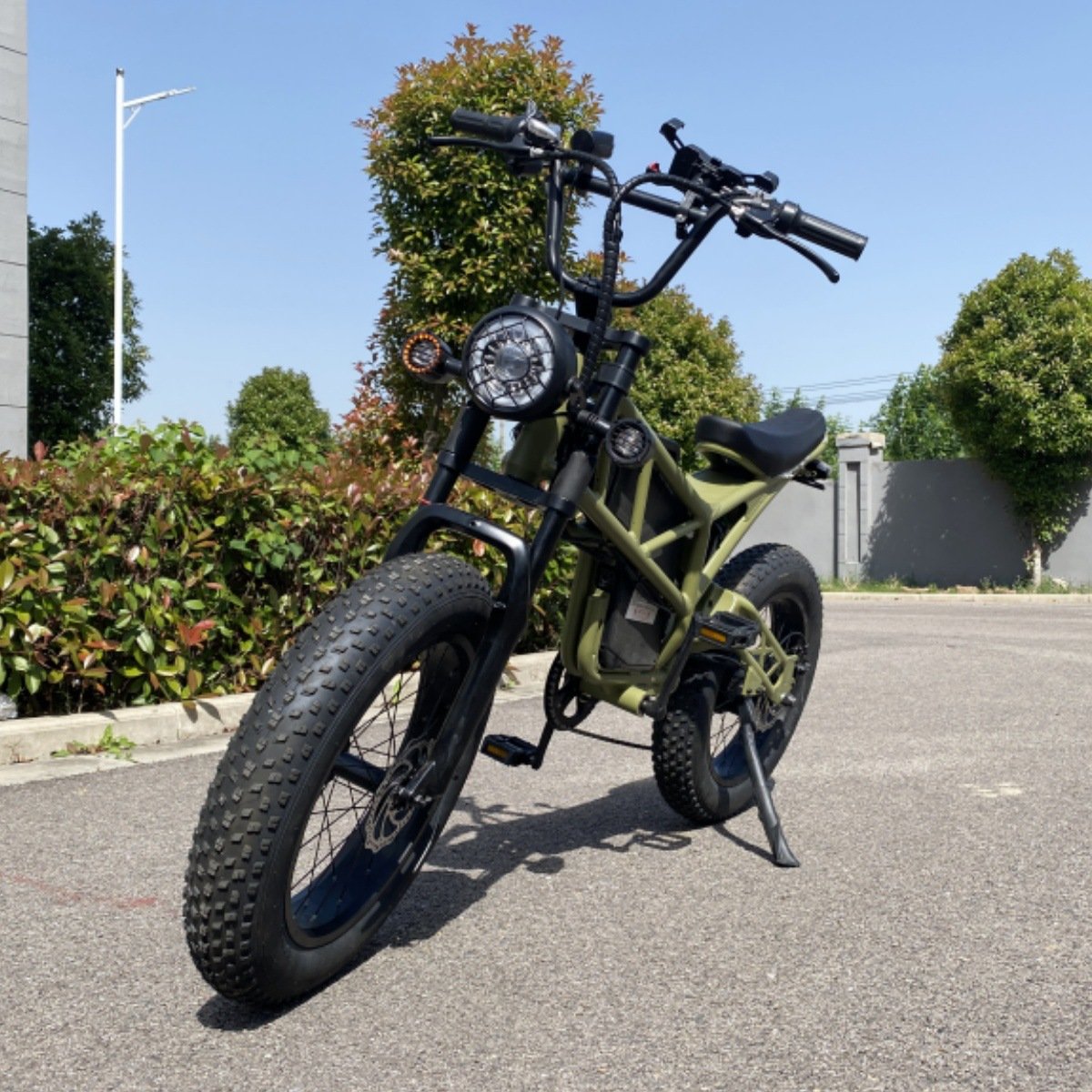 Q32 Mini Dirt Bike 1000W Fat Tire Stealth Bomber Electrique Ebike Surron Bee X Electric Mountain Bike