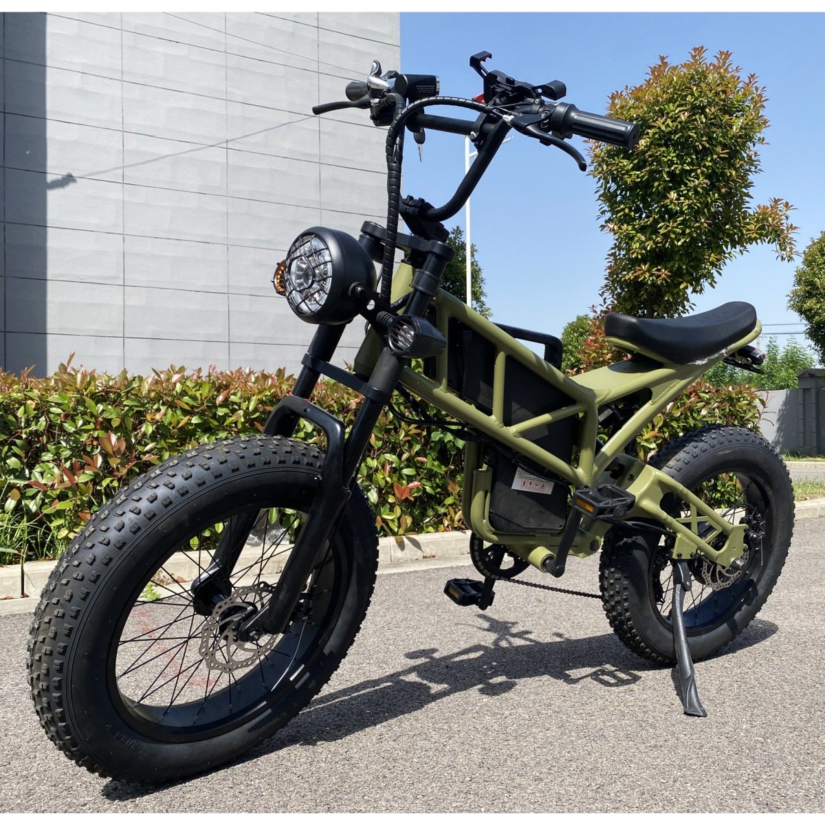 Q32 Mini Dirt Bike 1000W Fat Tire Stealth Bomber Electrique Ebike Surron Bee X Electric Mountain Bike