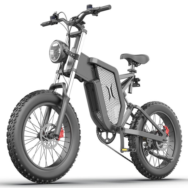 EKXBikeFat Tire Electric Mountain E Bike Big Power 1000W 48V Mid Drive Motor Dual Suspensions Electric Fat Bike For Adults