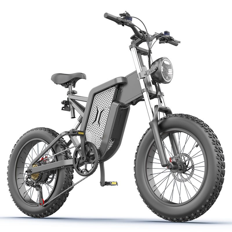EKXBikeFat Tire Electric Mountain E Bike Big Power 1000W 48V Mid Drive Motor Dual Suspensions Electric Fat Bike For Adults