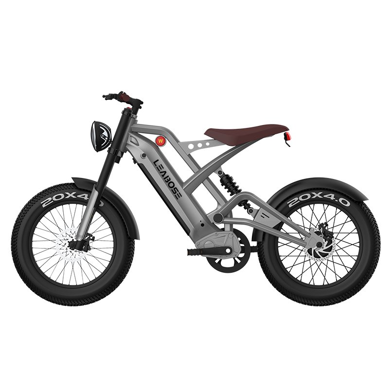 Drop Shipping 750w 1000w Fat Tire Off Road Electric Bike Mountain For Adult Vintage Electric Bicycle