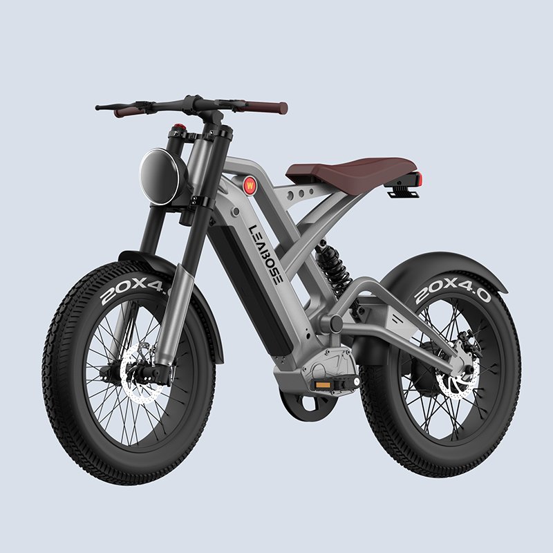 Drop Shipping 750w 1000w Fat Tire Off Road Electric Bike Mountain For Adult Vintage Electric Bicycle
