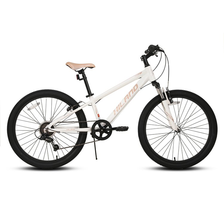 Manufacturers wholesale 24 speed mountain bike adult aluminum alloy bicycle outdoor