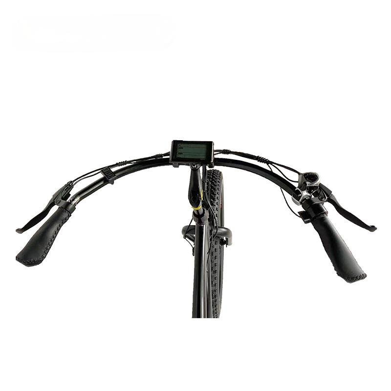 M-CFS 48V 500W Bafang Mid-drive motor Electric mountain bike electric bicycle full suspension
