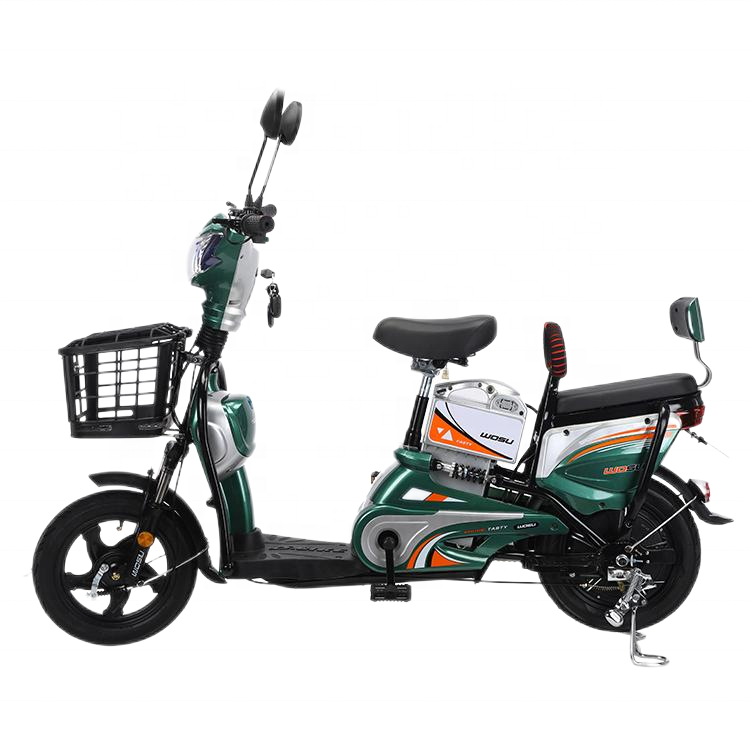 2024 New 48v 350w Pedal Electric Bike with Rear Hub Motor Digital Smart Type Lead Acid Battery 50km Range 3 Speeds for City Use