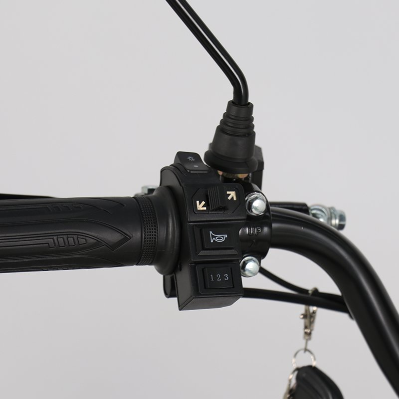 Chinese manufacturers Hot sales monster 60V 21Ah city courier food delivery electric bike 800W 1000W 1200W electric cargo bike