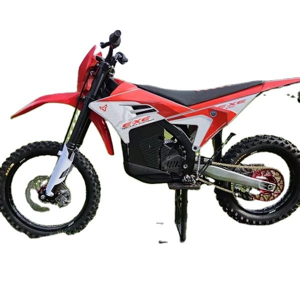 100% Original Arctic Leopard E XE880 High Power Electric Motorcycle