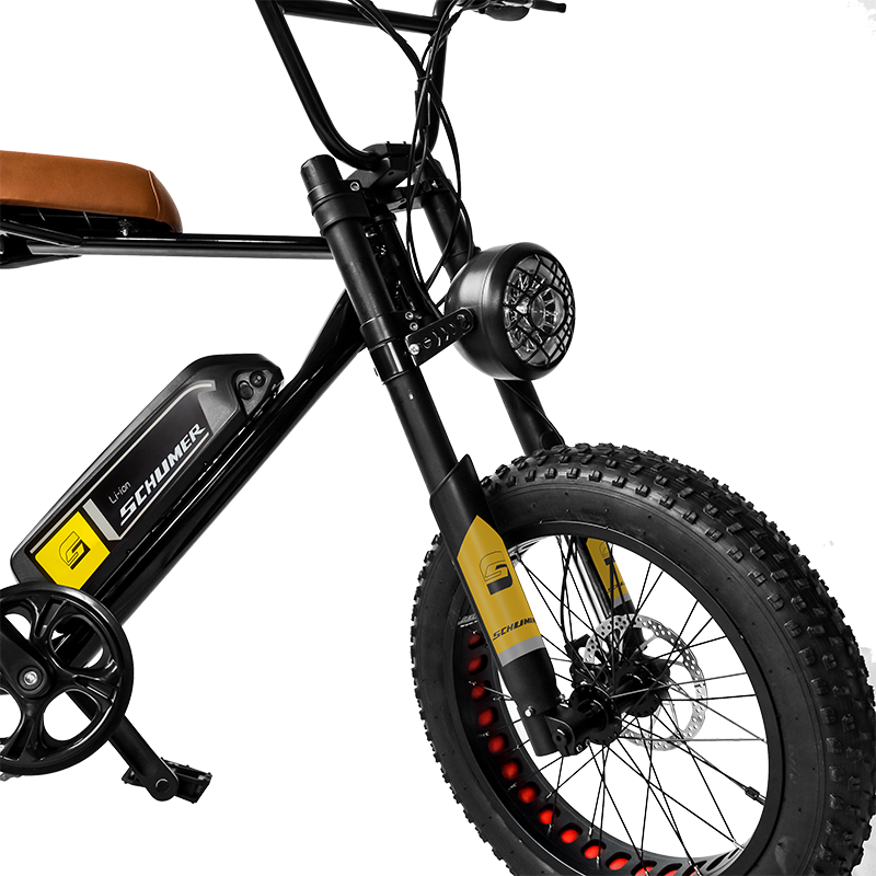 Powerful 500W 48V Electric Fat Tire Bike 20" Mountain Battery Double Shoulder Shock Fork Electric Dirt Bike Lithium Battery